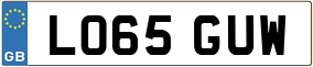 Truck License Plate